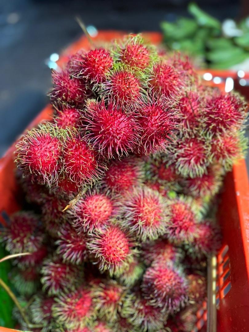 chom-chom-thai-vip-sieu-ngot