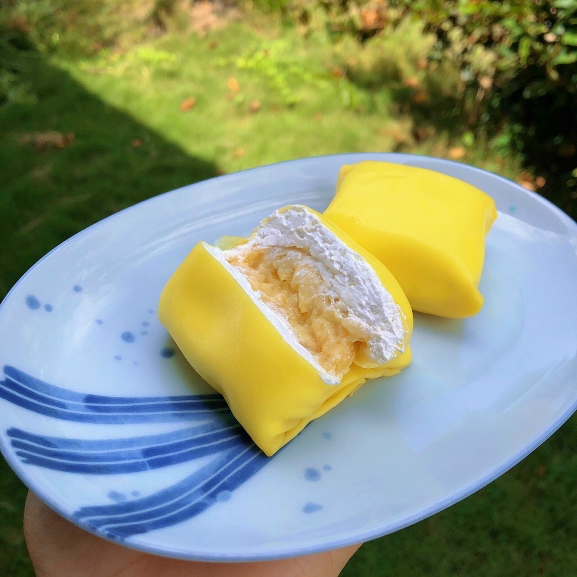 9-sach-banh-sau-rieng-phan-inh-phung