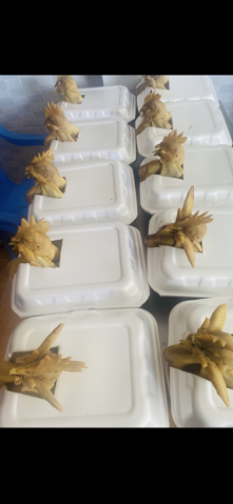 combo-ga-cung-chao-goi