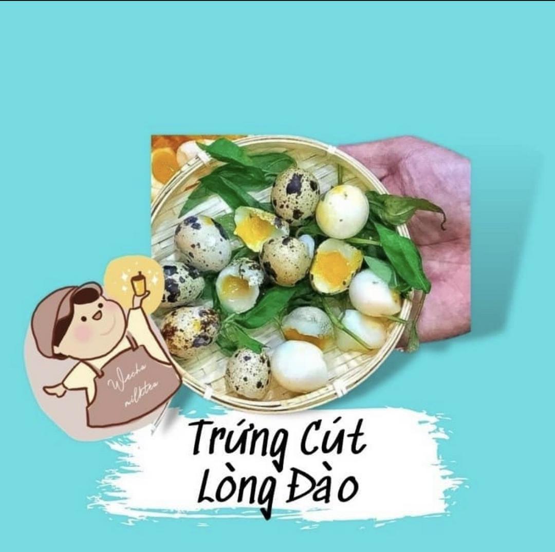 trung-cut-long-ao