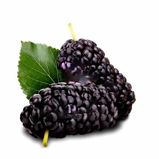 tra-dau-tam-size-700ml