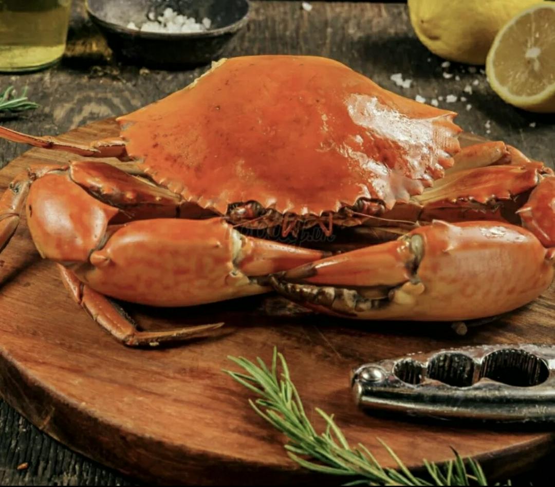 cua-thit-khung-y5-che-bien-8-vi-sot