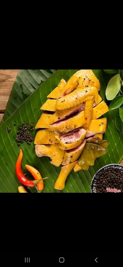 ga-u-muoi-hoa-tieu-nua-con-lanh