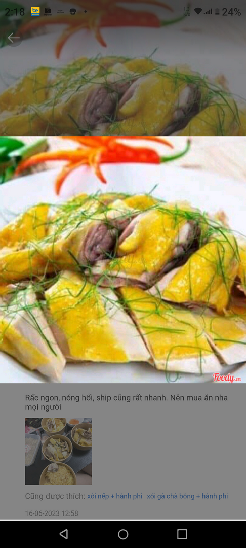 ga-luoc-1-con-sot-cham-ac-biet