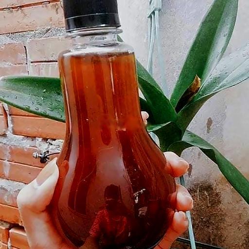 hong-tra-phuc-long-330ml