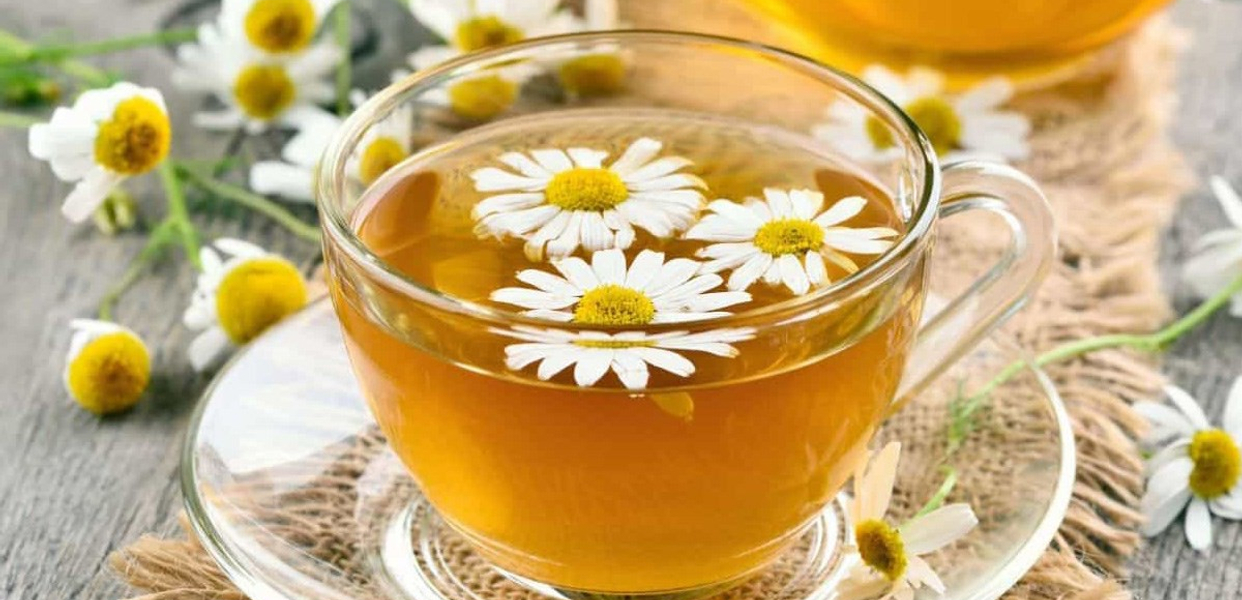 loc-phat-tra-gia-truyen-xo-viet-nghe-tinh