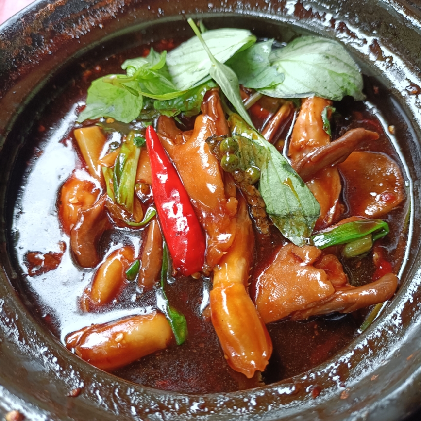 com-luoi-vit-singapore