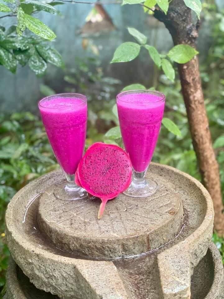 sinh-to-dua-thanh-long-o