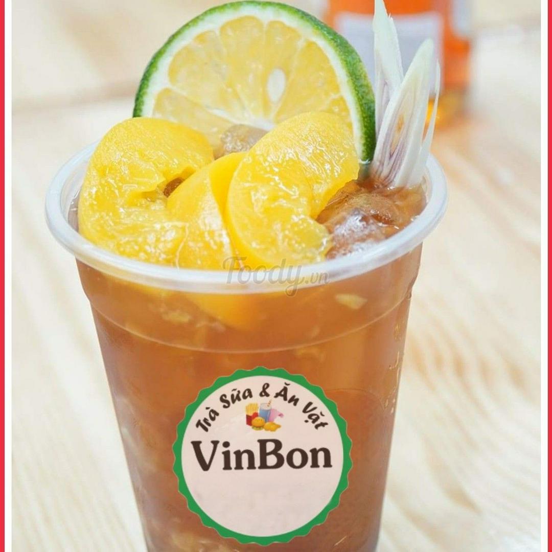 tra-ao-cam-sa-vinbon-giai-nhiet-cuc-a