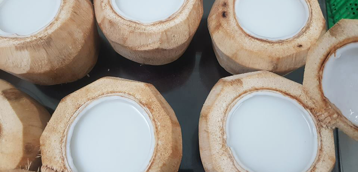 ga-con-thach-dua-nuoc-ep-hoa-qua-online-nguyen-quy-uc