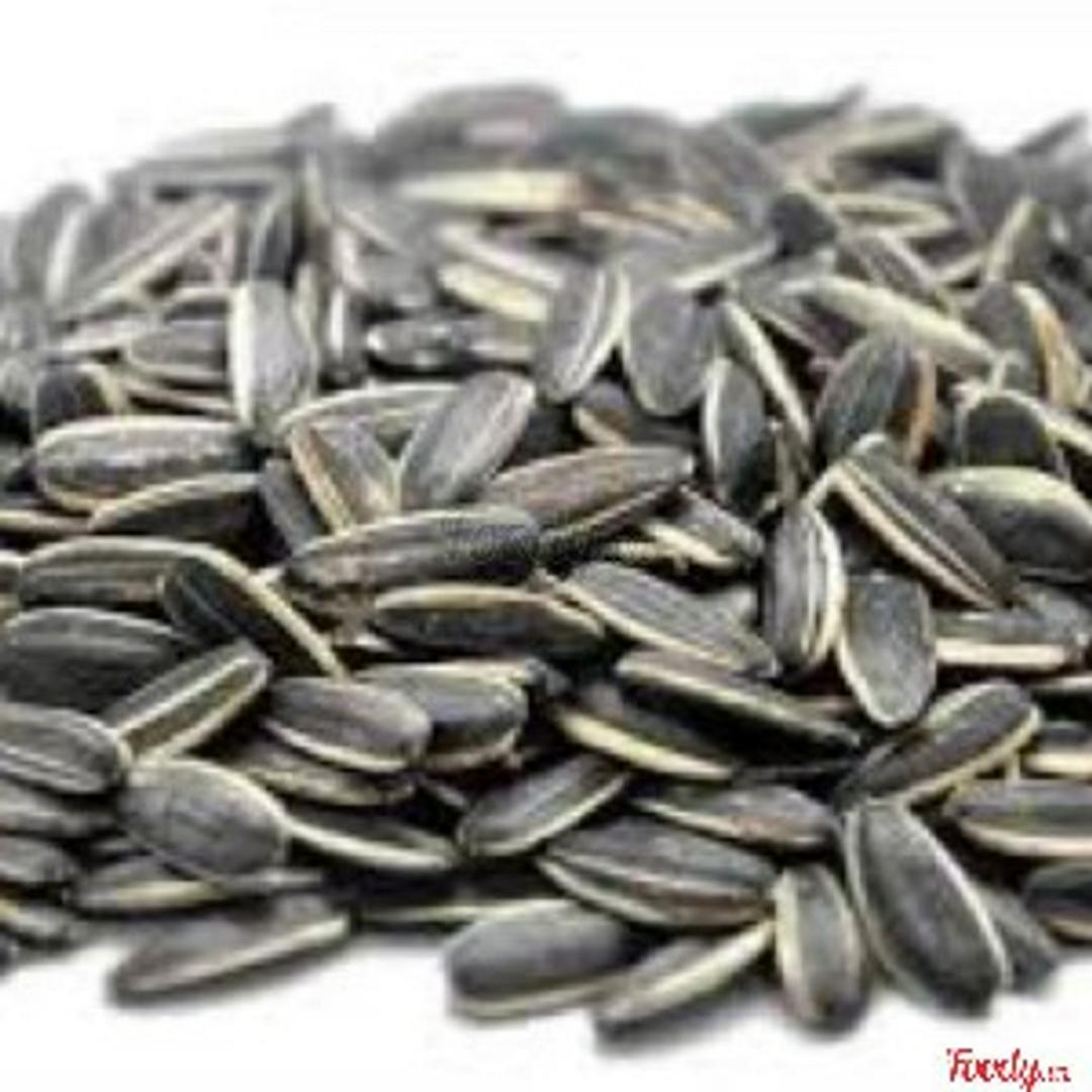 sunflower-seed