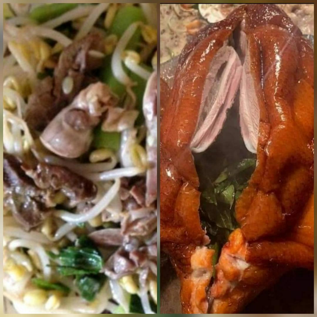 vit-quay-la-moc-mat-1con-to-ay-u-co-canh-long-me-tran-gia-ia-lon