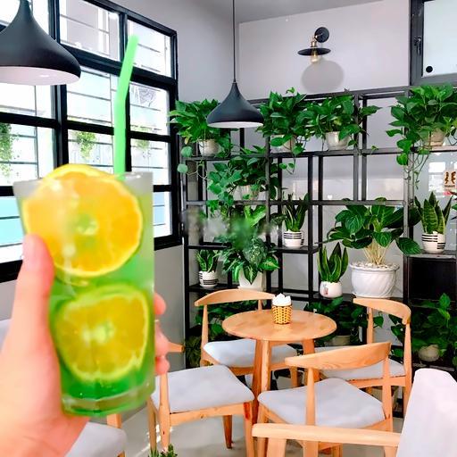 tra-hoa-qua-nhiet-oi