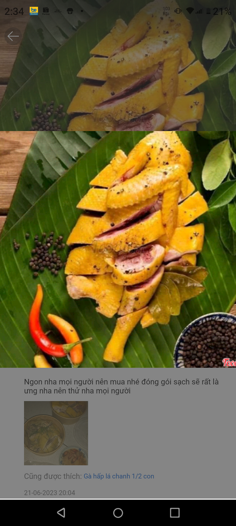 ga-u-muoi-1-2-con-an-nong-sot-cham