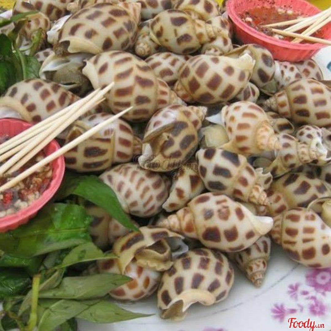 oc-huong-rang-muoi-ot