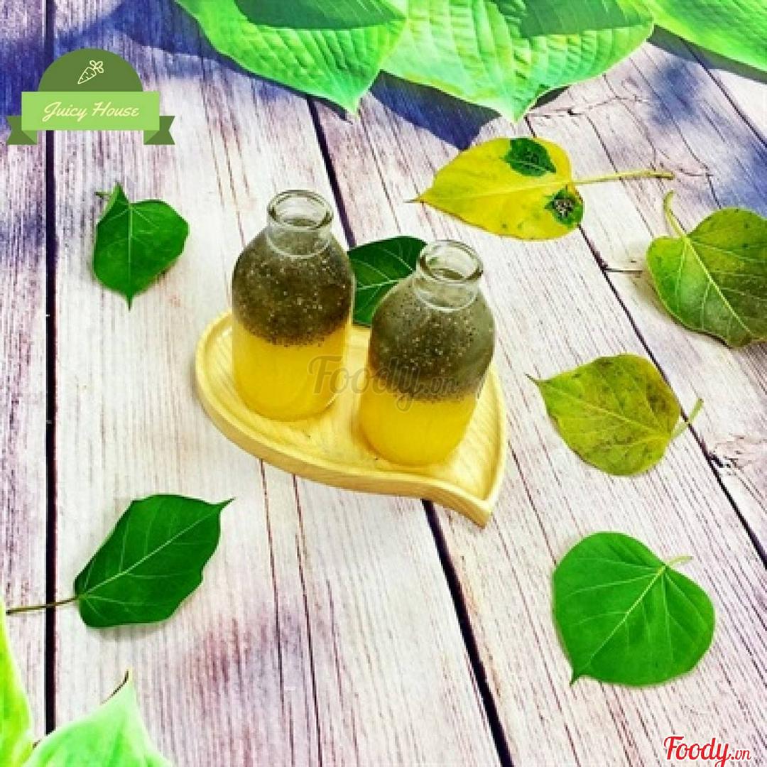 nuoc-ep-dua-oi-hat-chia-chai-thuy-tinh-300ml