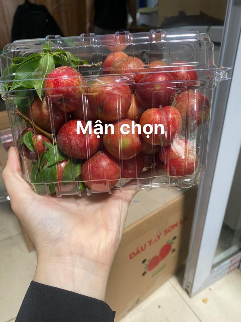 man-hau-moc-chau-size-chon-1kg