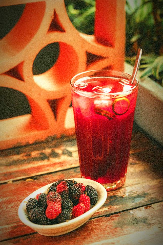 tra-dau-tam-pha-le-tuyet