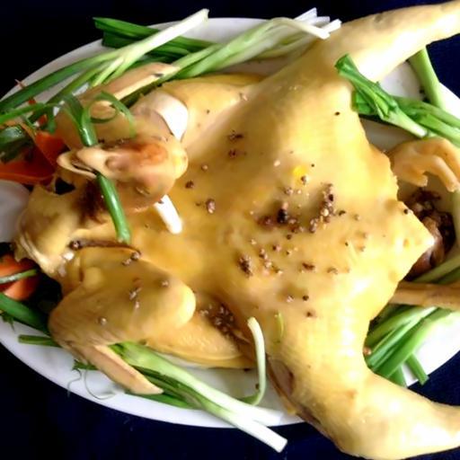 ga-ta-chat-nguyen-con