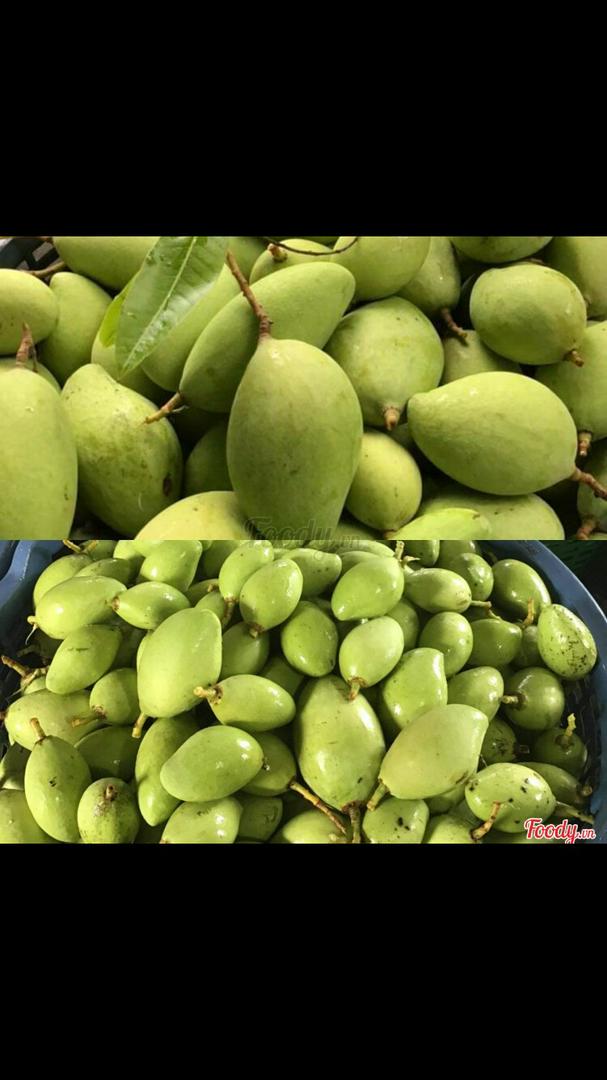 xoai-bao-tu-chua-gion-1-kg