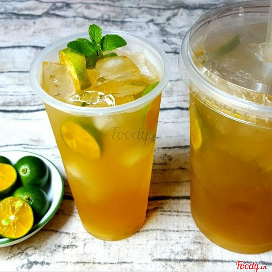 tra-quat-nha-am-khong-lo