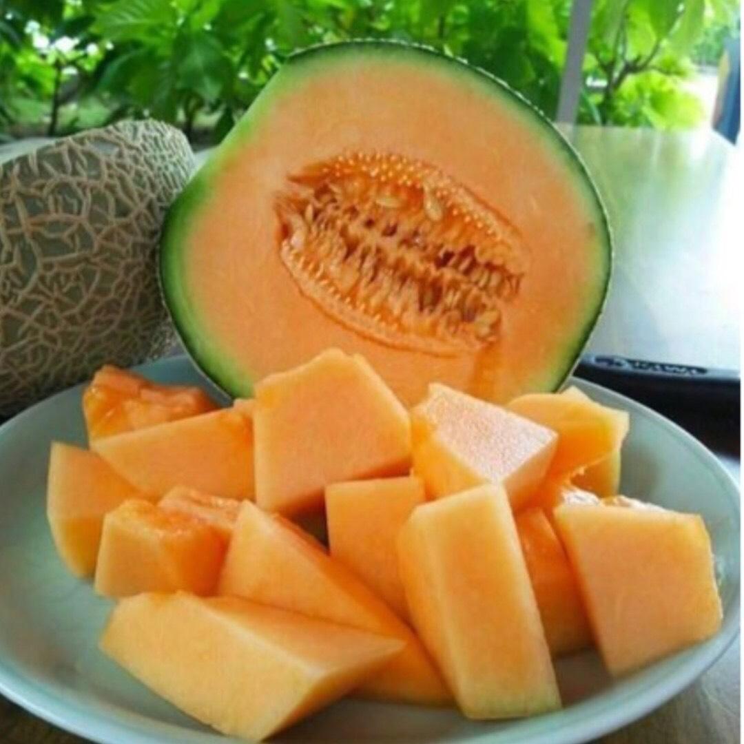 hop-dua-luoi-300g
