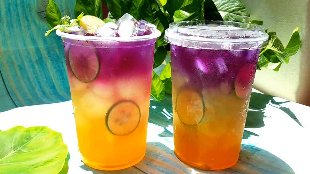 tra-chanh-hat-chia-hoa-au-biec-size-xl