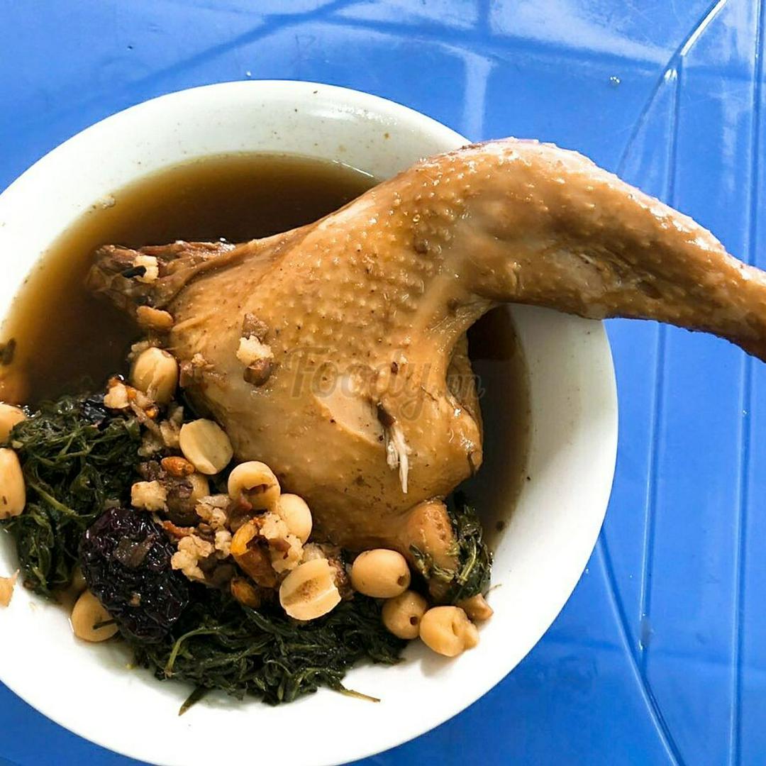 ga-ta-ham-thuoc-bac-ngai-cuu