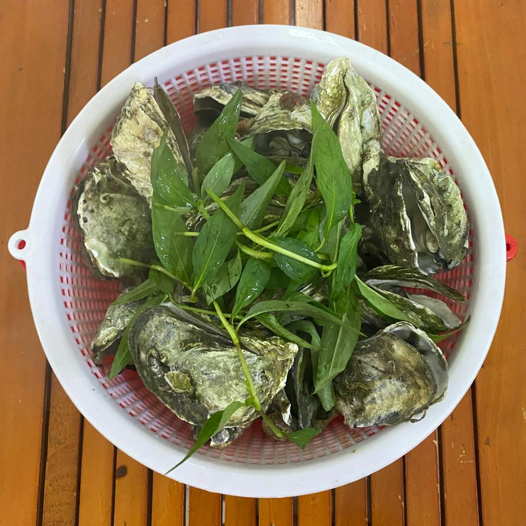 hau-sua-hap-sa-5-con