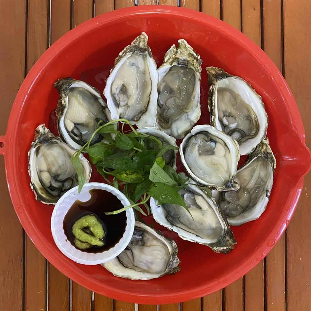 hau-sua-tai-chanh-5-con