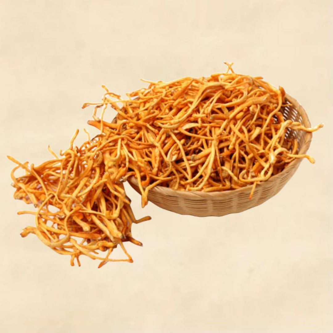 ong-trung-ha-thao-20gr