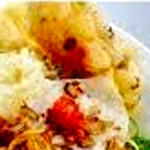 banh-uot-trung-banh-tom