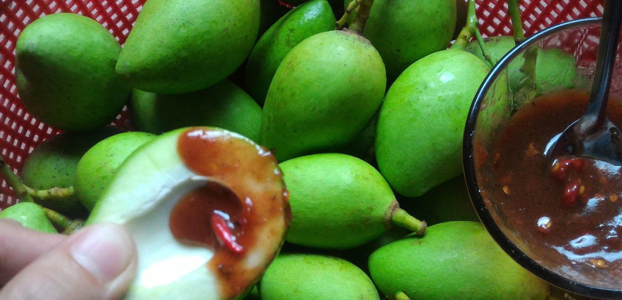 xoai-non-mam-ruoc-th-shop-bui-thi-xuan