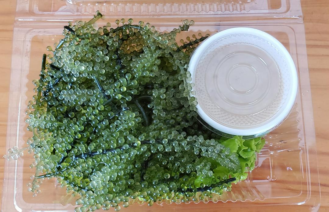 rong-nho-sot-me-rang