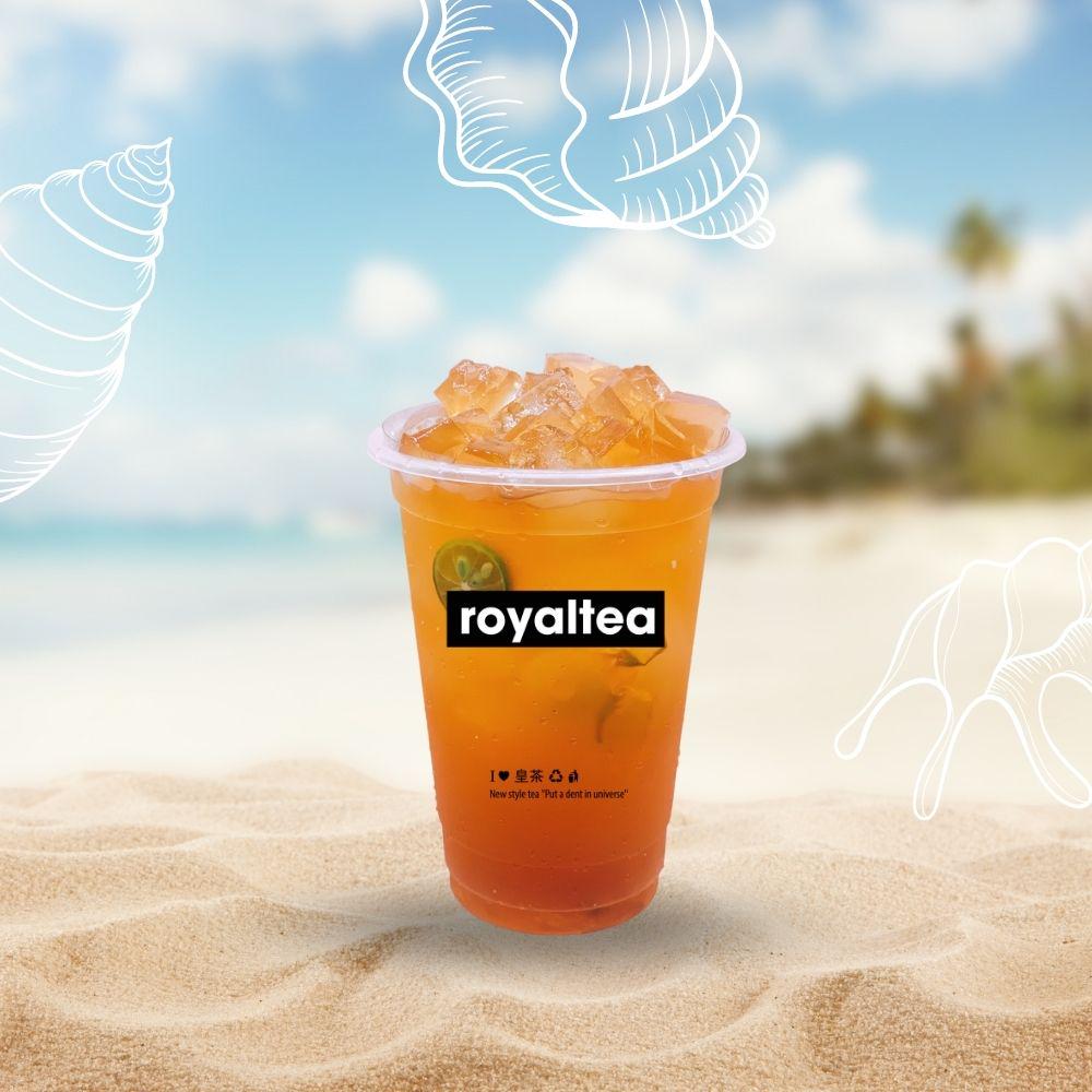 tra-cam-ao-nhai-royaltea