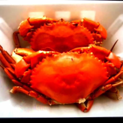 cua-thit-hap-co-lon-2-con