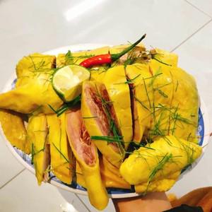 ga-u-muoi-hoa-tieu-1-con