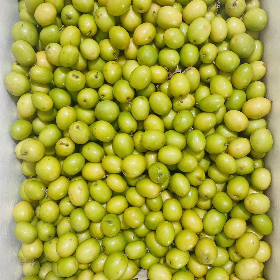 1-kay-tao-chua-ron-ngon