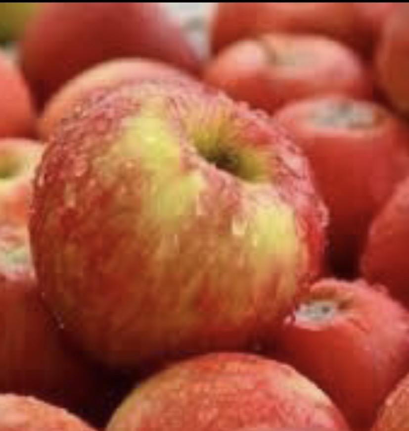 1-khay-tao-gion-ngon