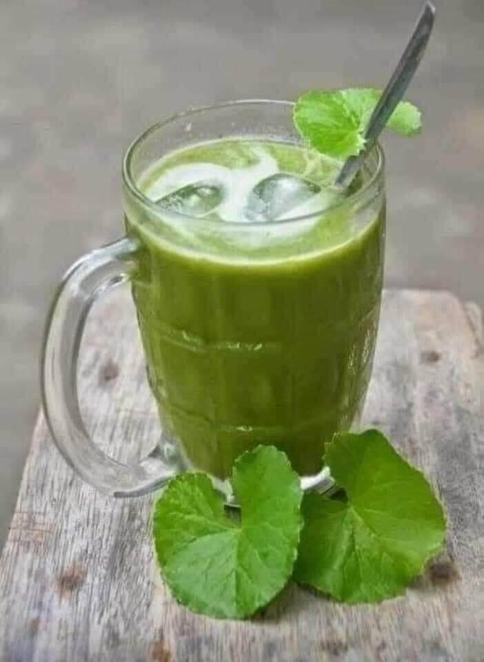 sinh-to-rau-ma-nha-am