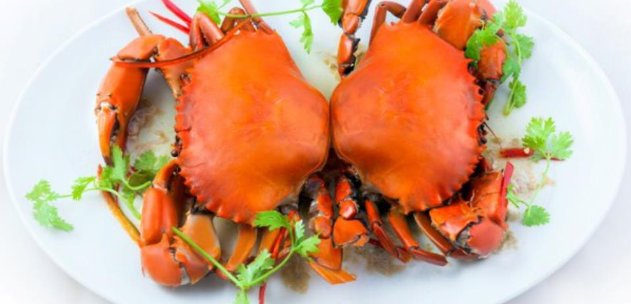 hoang-huy-cua-bien-bac-lieu-uong-25