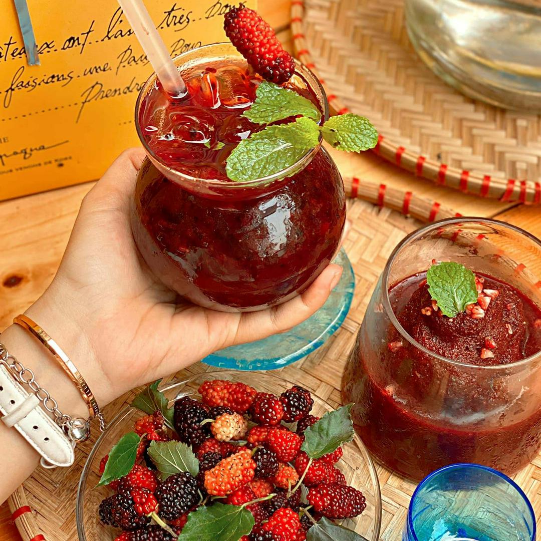 tra-dau-tam-pha-le-tuyet