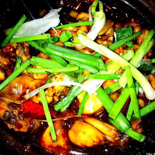 ech-singapore-khong-chao-2-con