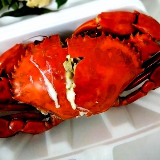 1-con-cua-thit-to-size4-500g-hap