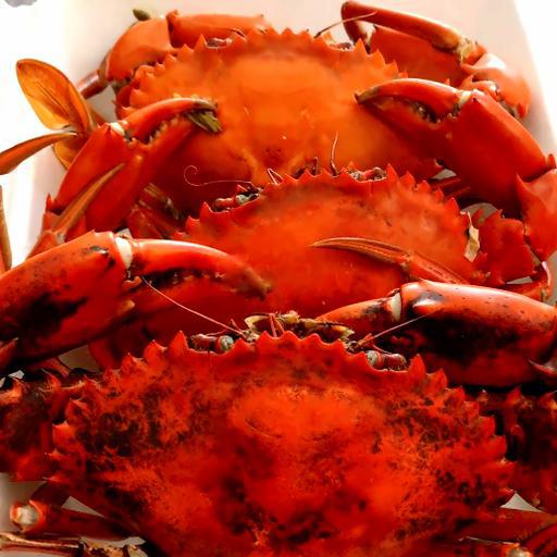 cua-thit-hap-co-lon-2-con