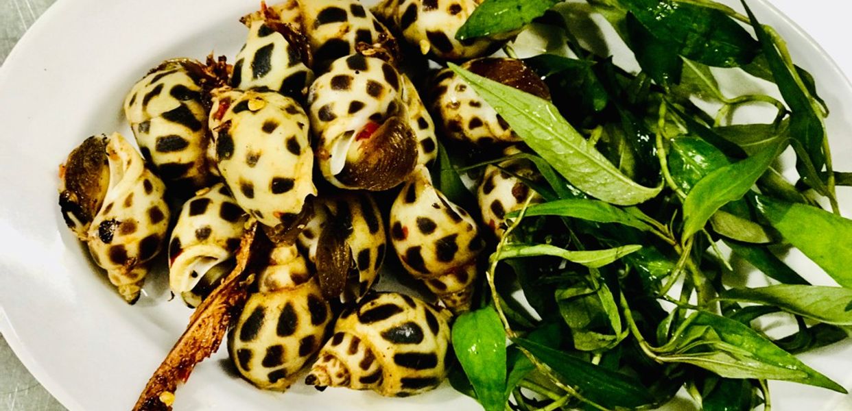 quan-oc-54-pham-viet-chanh