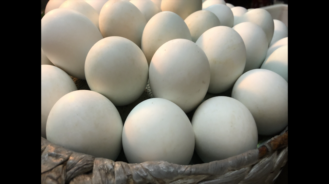 9h-22h10-chua-luoc-hot-vit-lon-sach-va-gia-vi