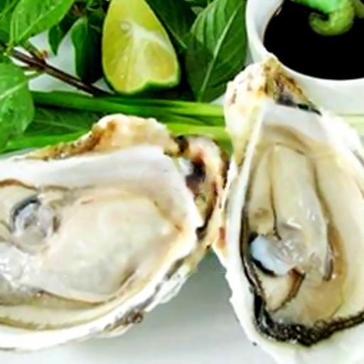 hao-an-song-mu-tat-2-con