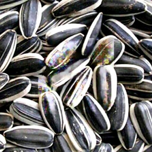 huong-duong-nguyen-vi