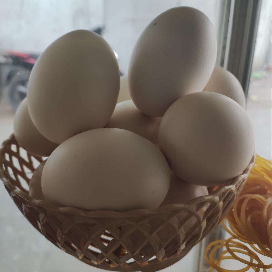 trung-ga-ba-ganh-vua